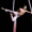 Cirque De La Symphonie at Segerstrom Hall